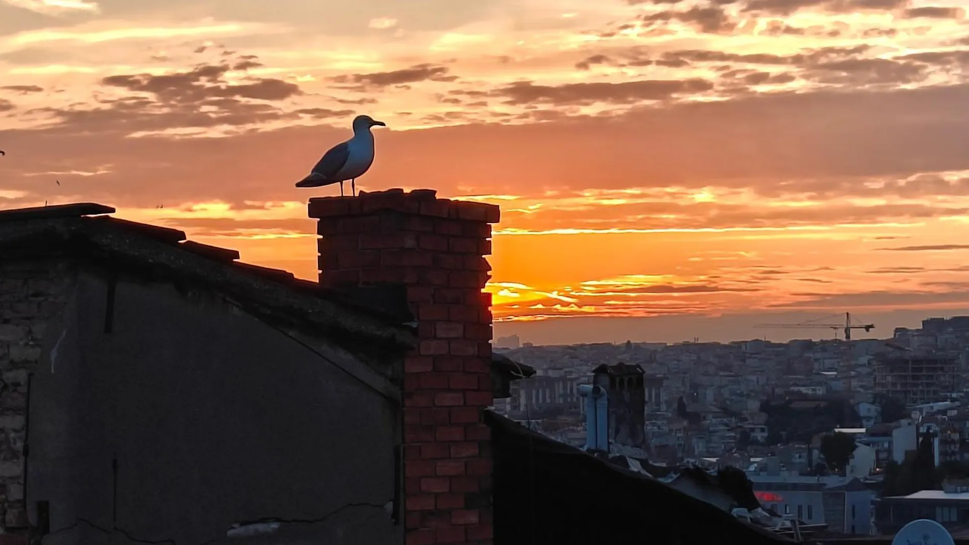 Kunterbunt Istanbul 아파트