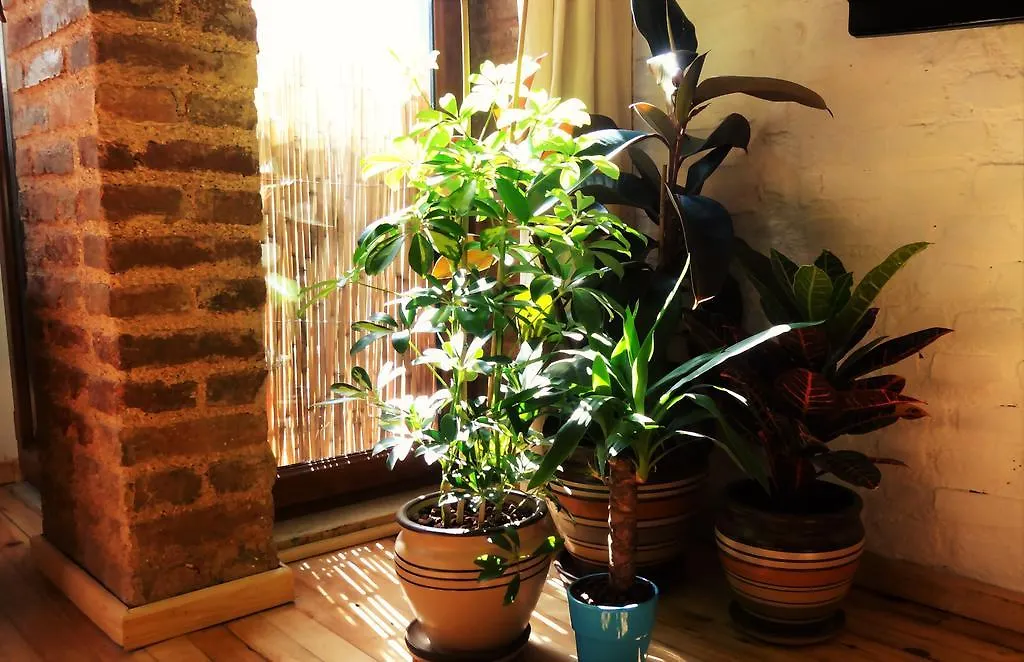 Kunterbunt Istanbul 아파트